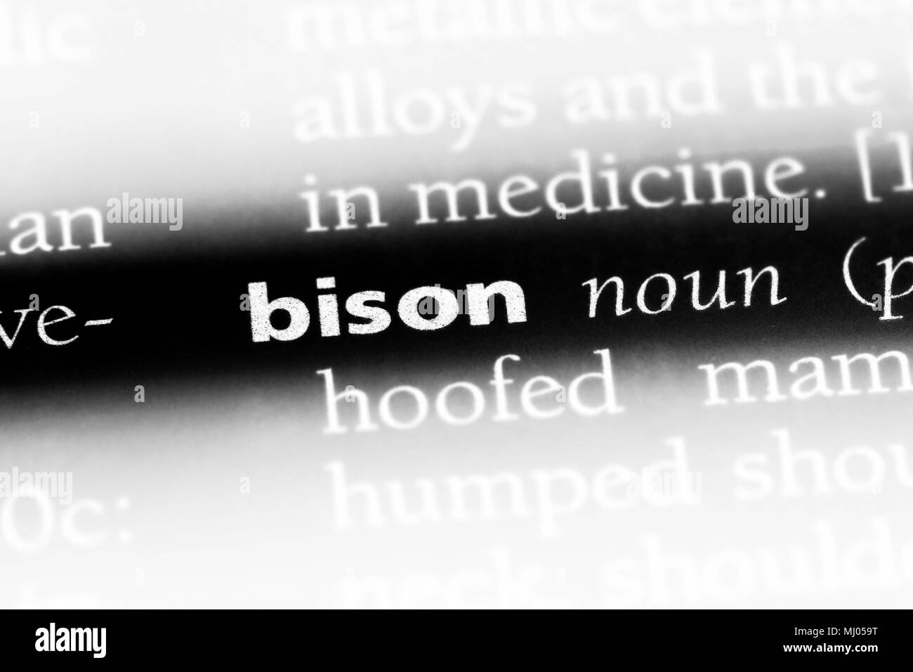 bison word in a dictionary. bison concept Stock Photo Alamy