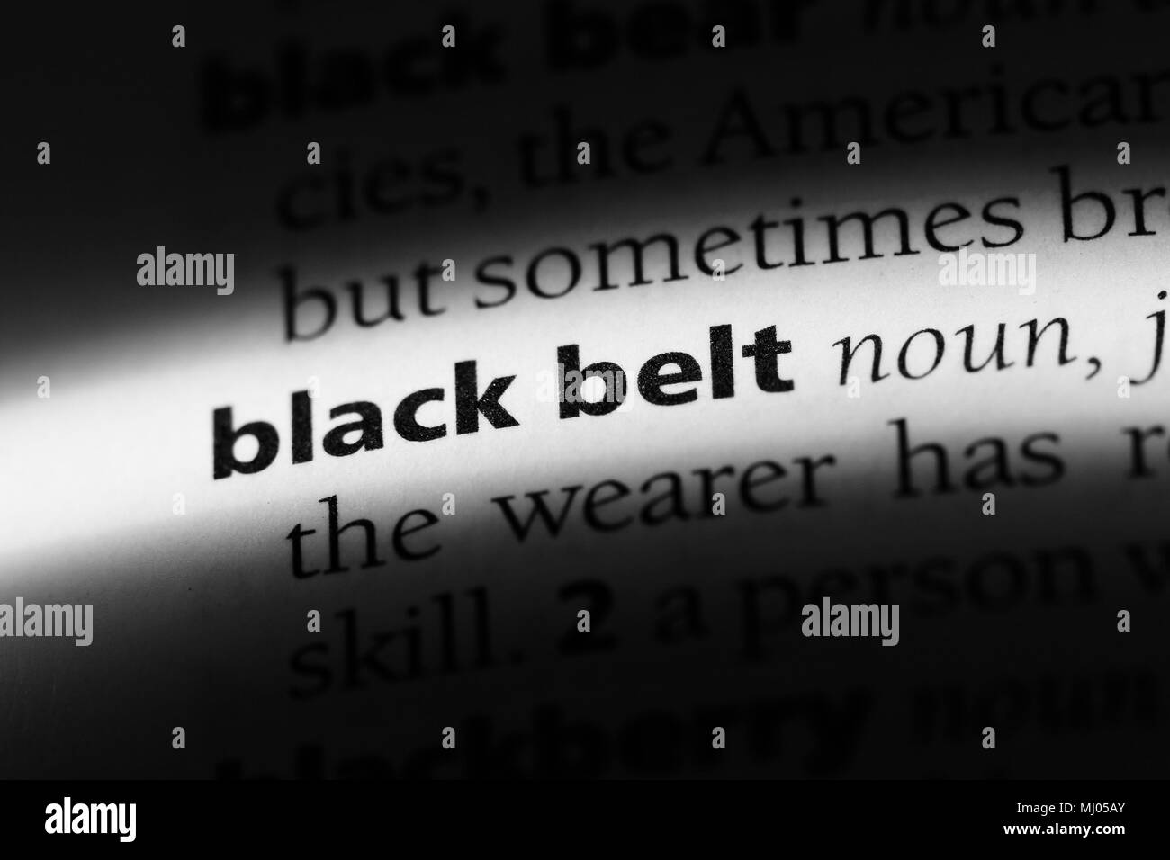 black belt word in a dictionary. black belt concept Stock Photo Alamy