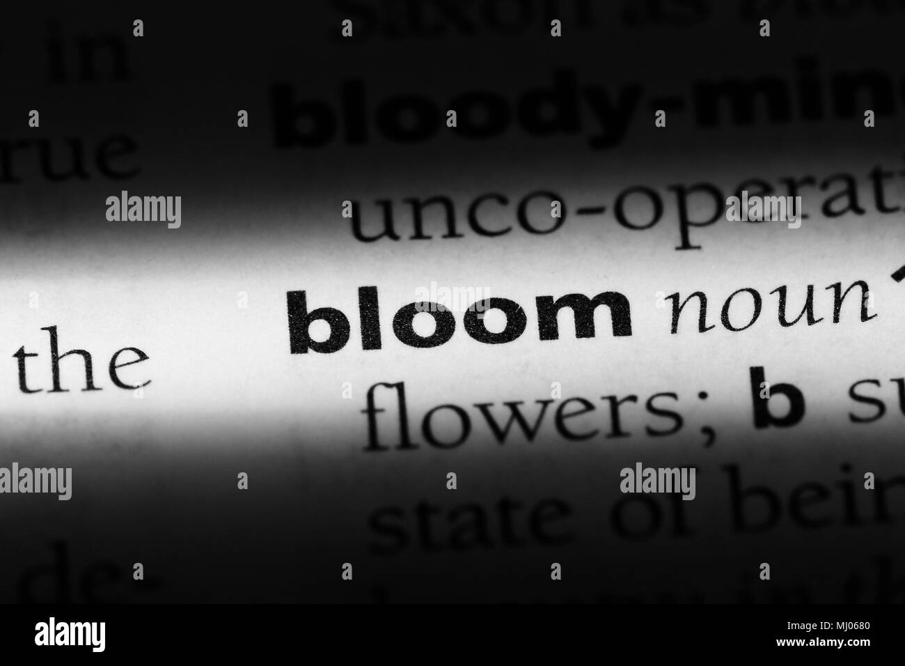 bloom word in a dictionary. bloom concept Stock Photo Alamy