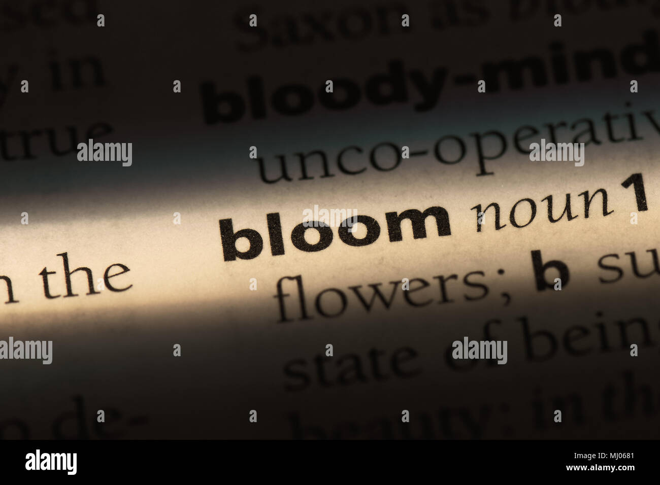 bloom word in a dictionary. bloom concept Stock Photo Alamy