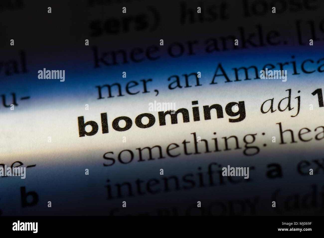 blooming word in a dictionary. blooming concept Stock Photo Alamy
