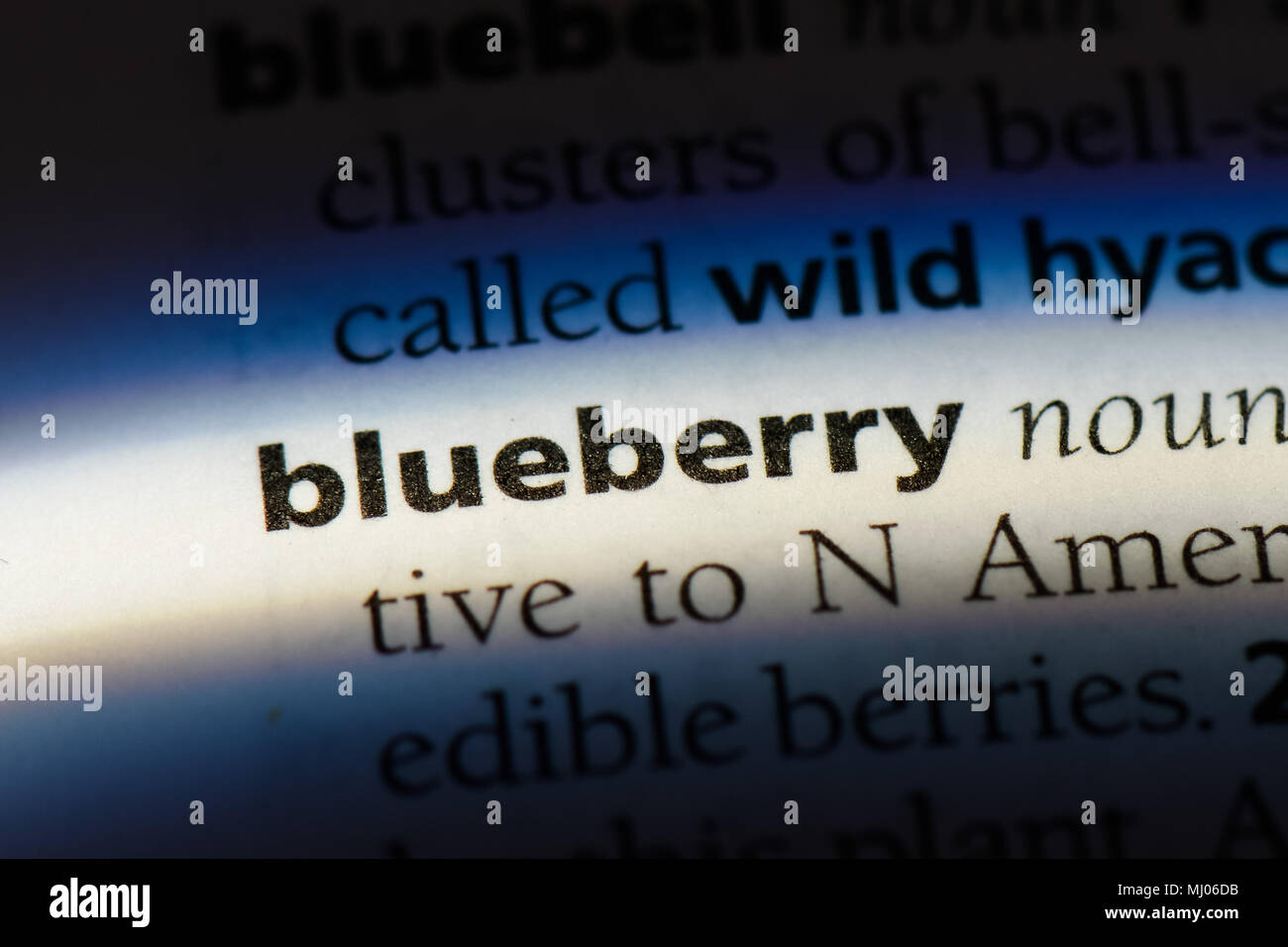 blueberry word in a dictionary. blueberry concept Stock Photo Alamy