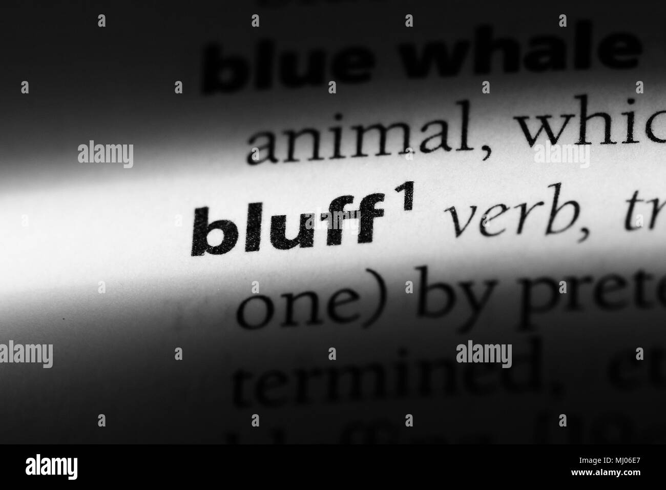 bluff word in a dictionary. bluff concept Stock Photo Alamy