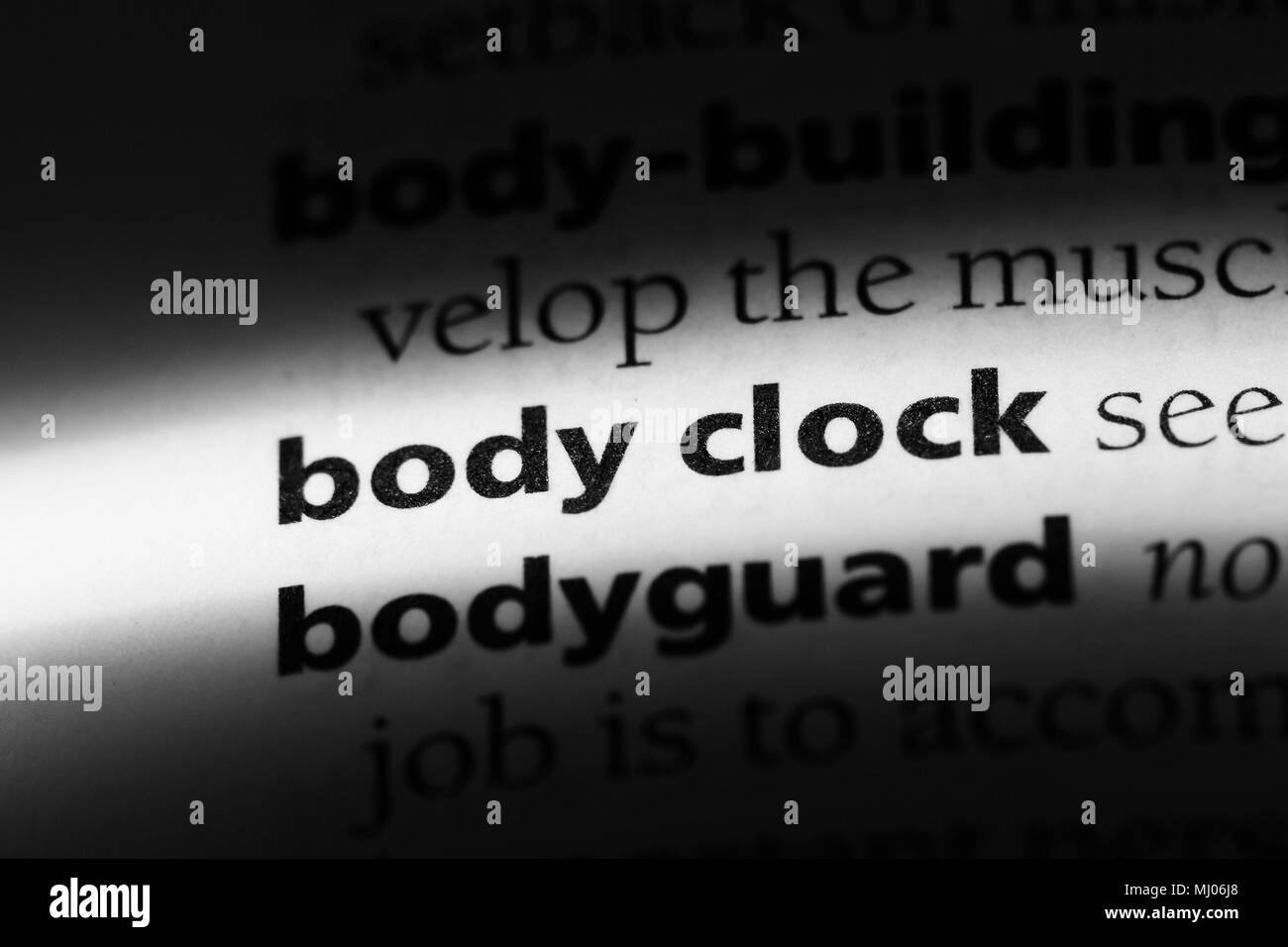 body clock word in a dictionary. body clock concept. Stock Photo