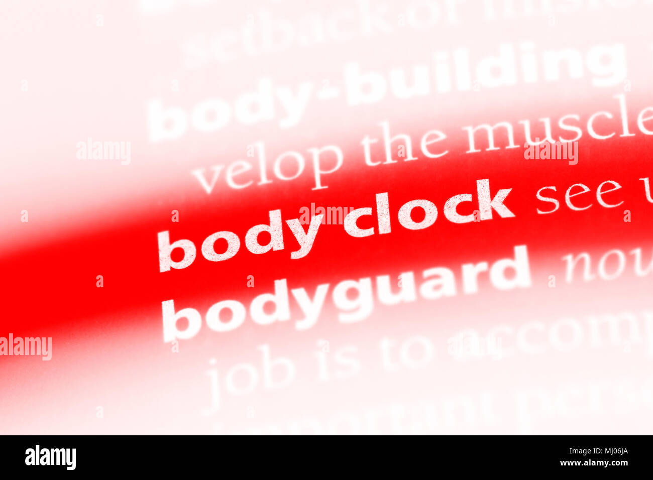 body clock word in a dictionary. body clock concept. Stock Photo