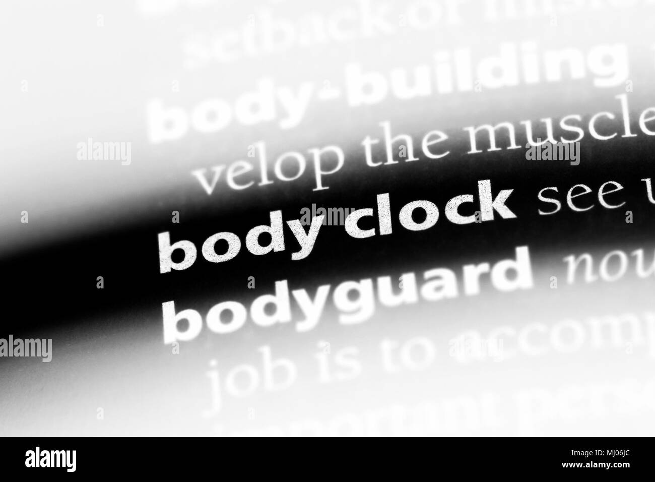 body clock word in a dictionary. body clock concept Stock Photo Alamy