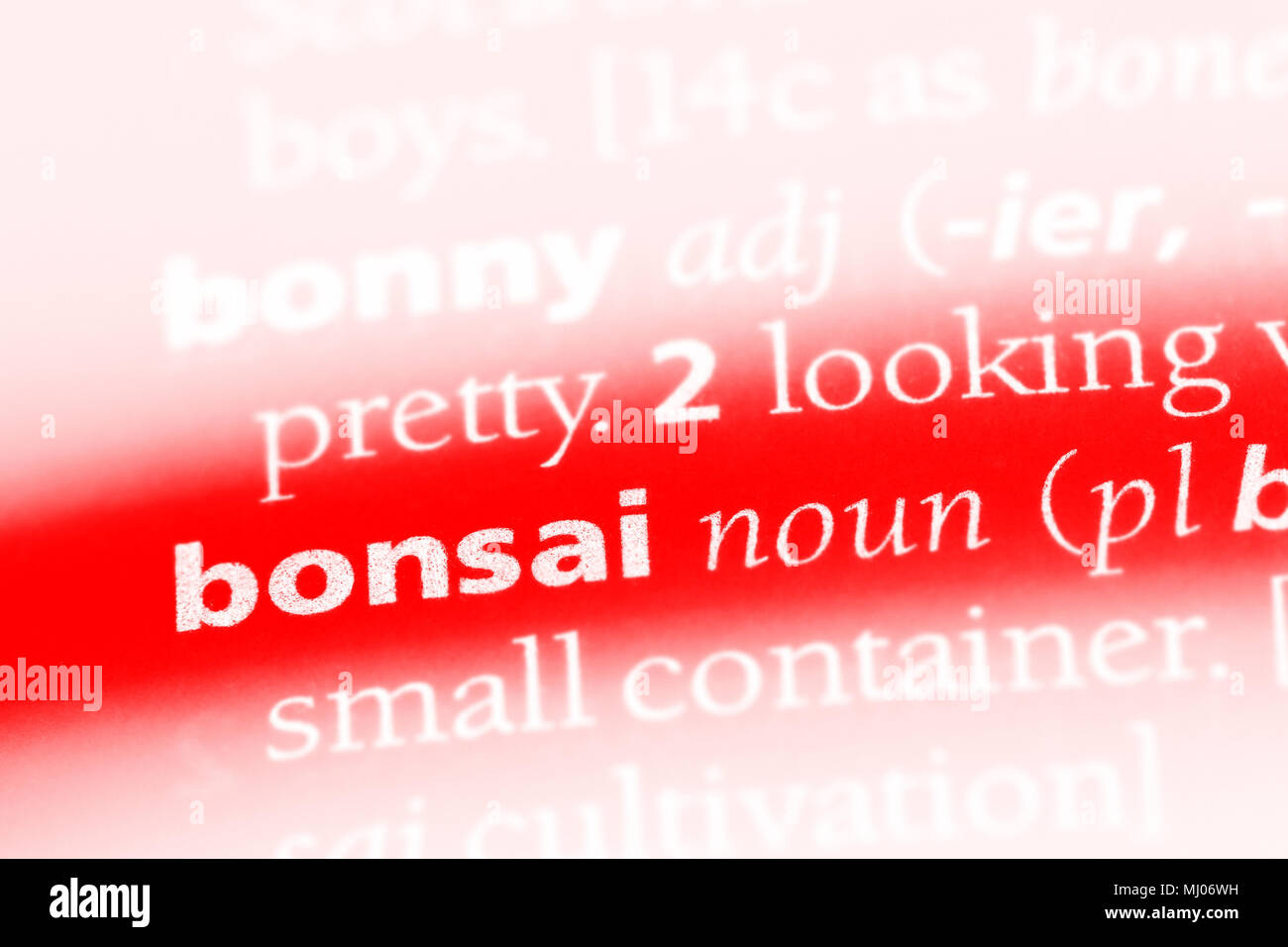 bonsai word in a dictionary. bonsai concept Stock Photo Alamy