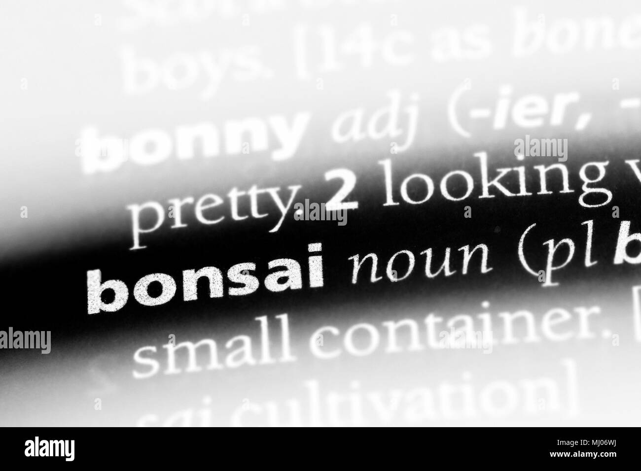bonsai word in a dictionary. bonsai concept Stock Photo Alamy