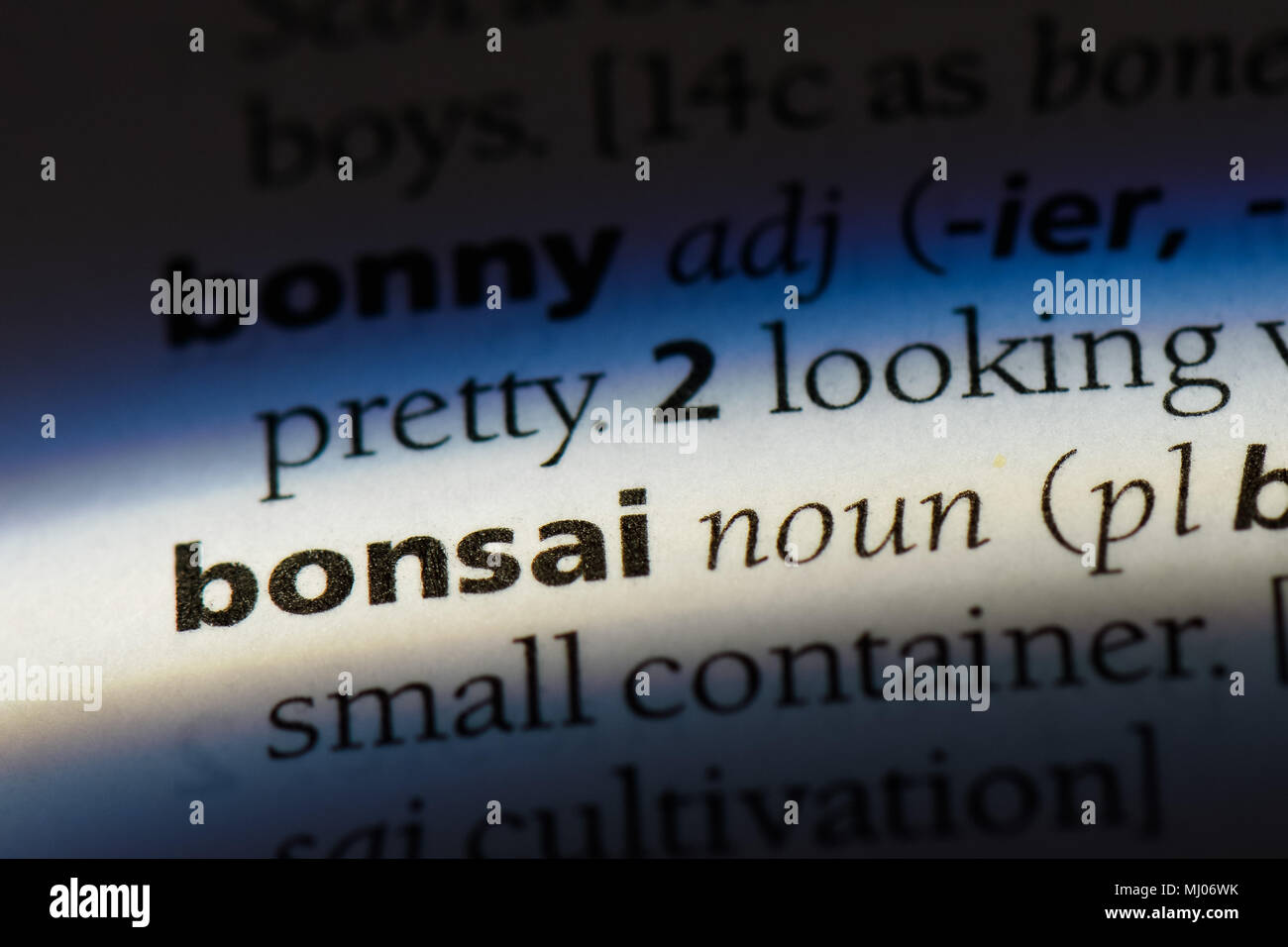 bonsai word in a dictionary. bonsai concept Stock Photo Alamy