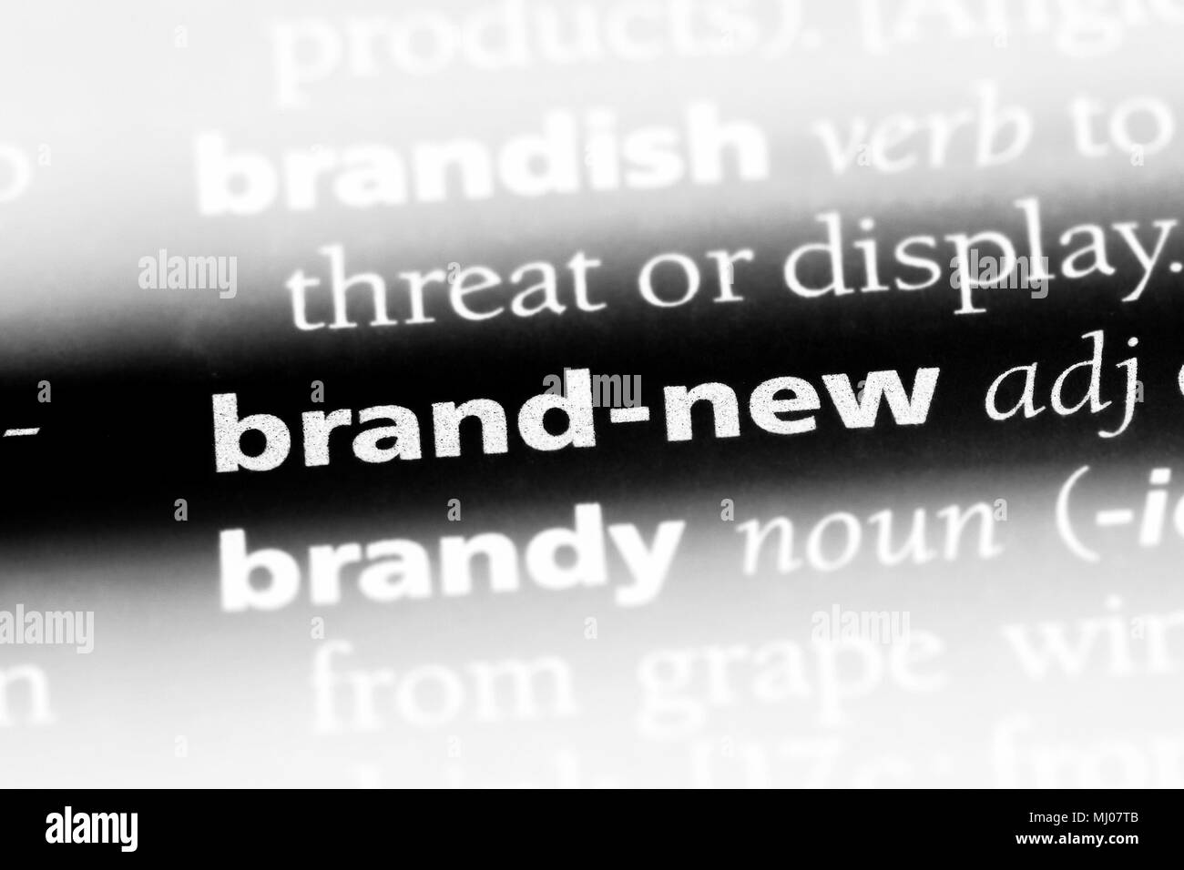 brandnew word in a dictionary. brandnew concept Stock Photo Alamy