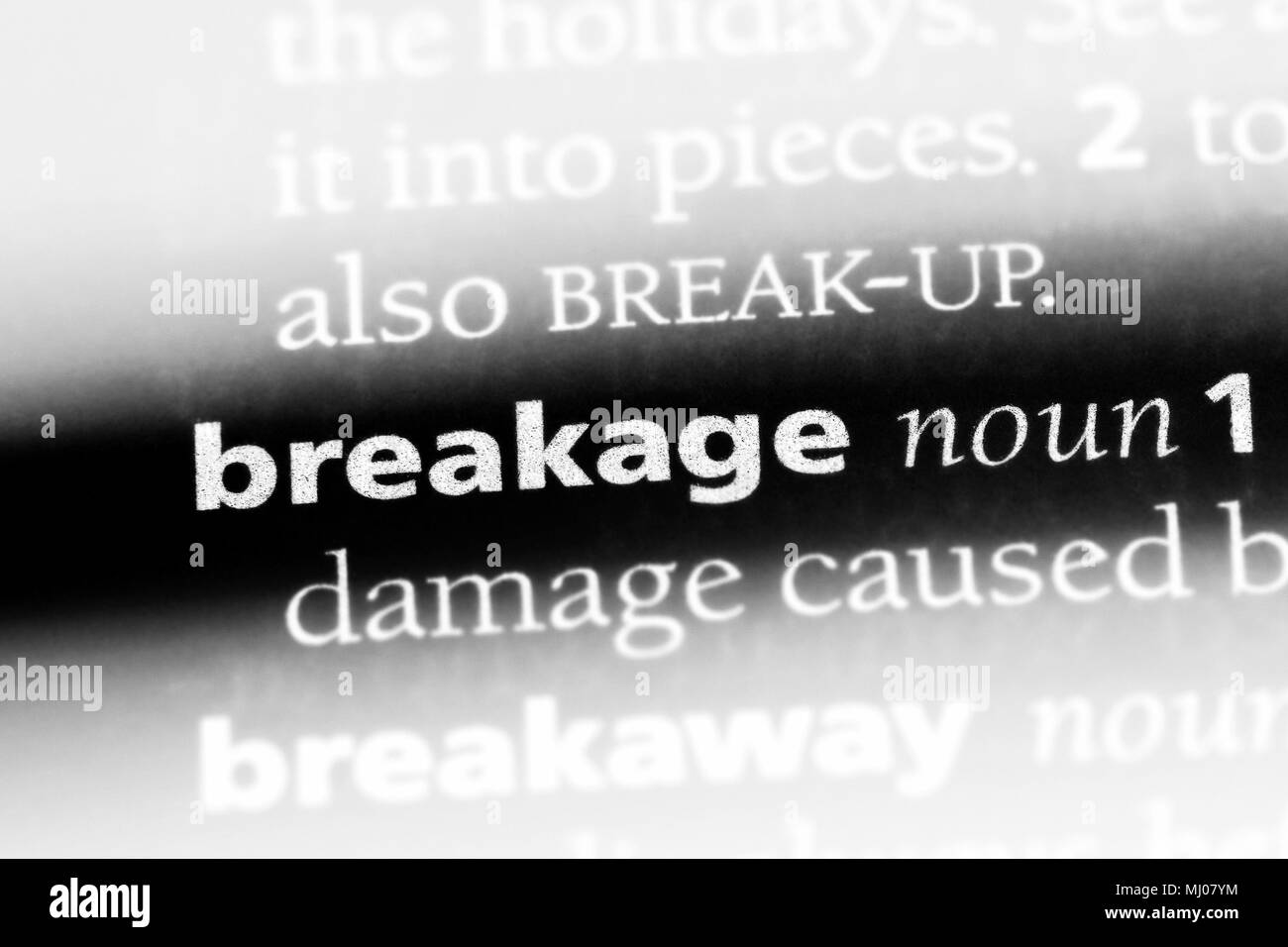 breakage word in a dictionary. breakage concept Stock Photo Alamy