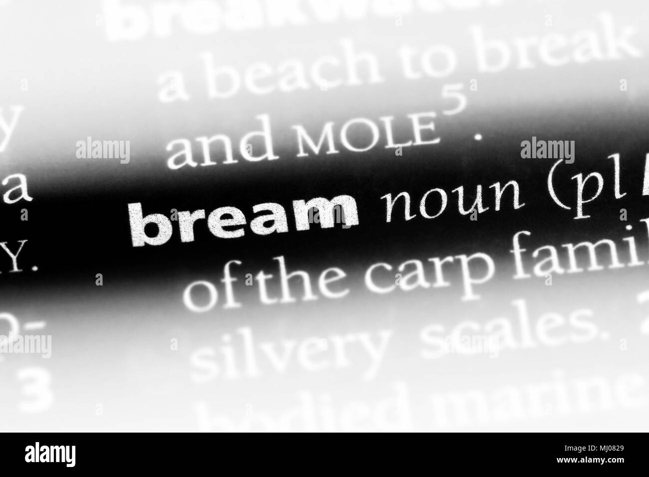 Bream Black and White Stock Photos & Images Alamy