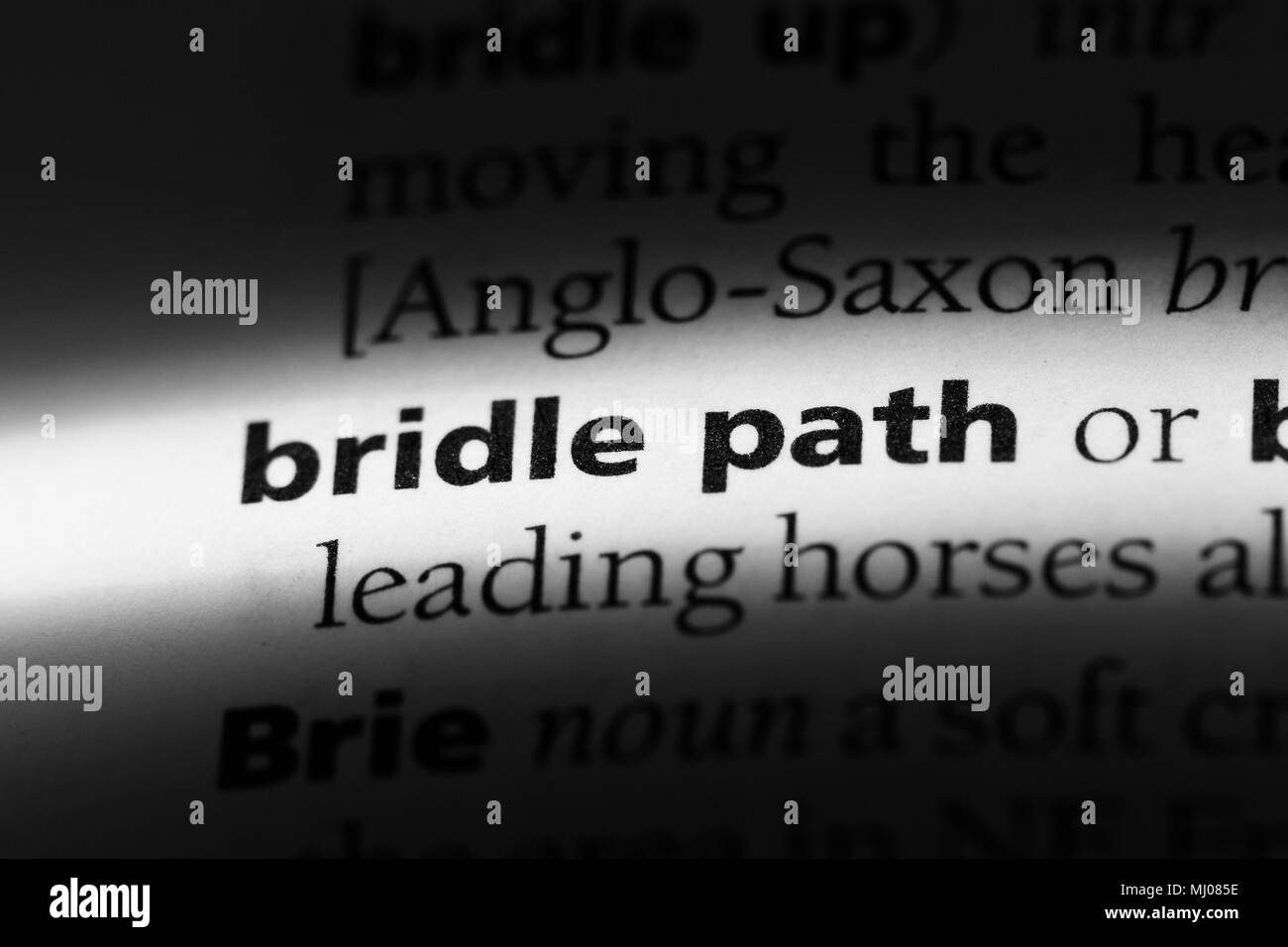 bridle path word in a dictionary. bridle path concept Stock Photo Alamy