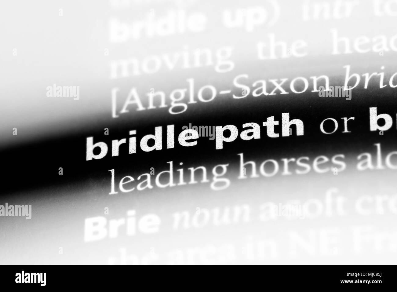 bridle path word in a dictionary. bridle path concept Stock Photo Alamy