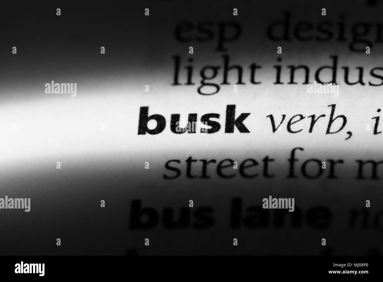 Buck Black and White Stock Photos & Images Alamy