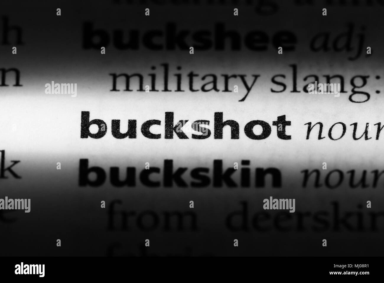 buckshot word in a dictionary. buckshot concept Stock Photo Alamy