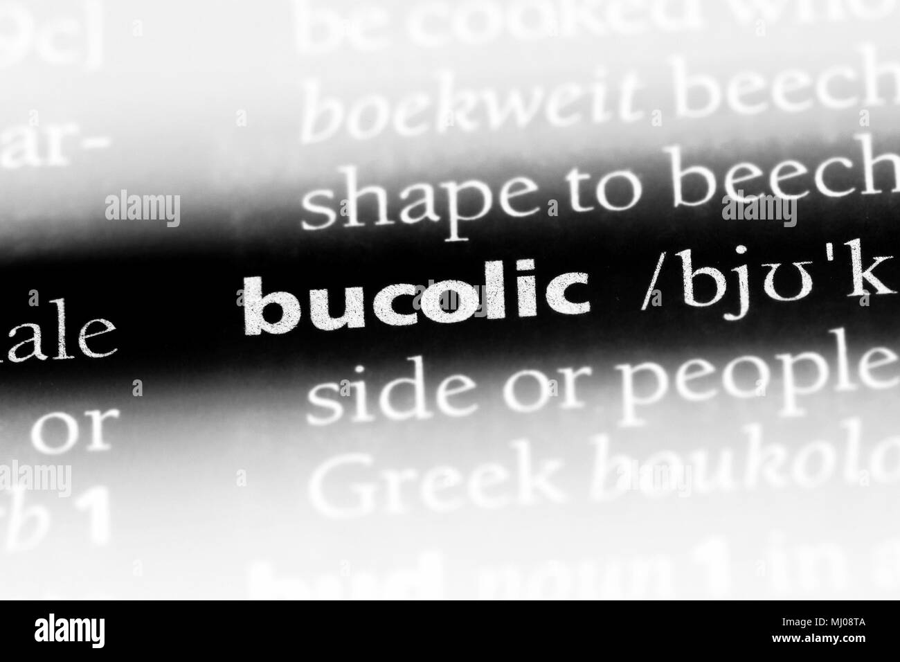 bucolic word in a dictionary. bucolic concept Stock Photo Alamy