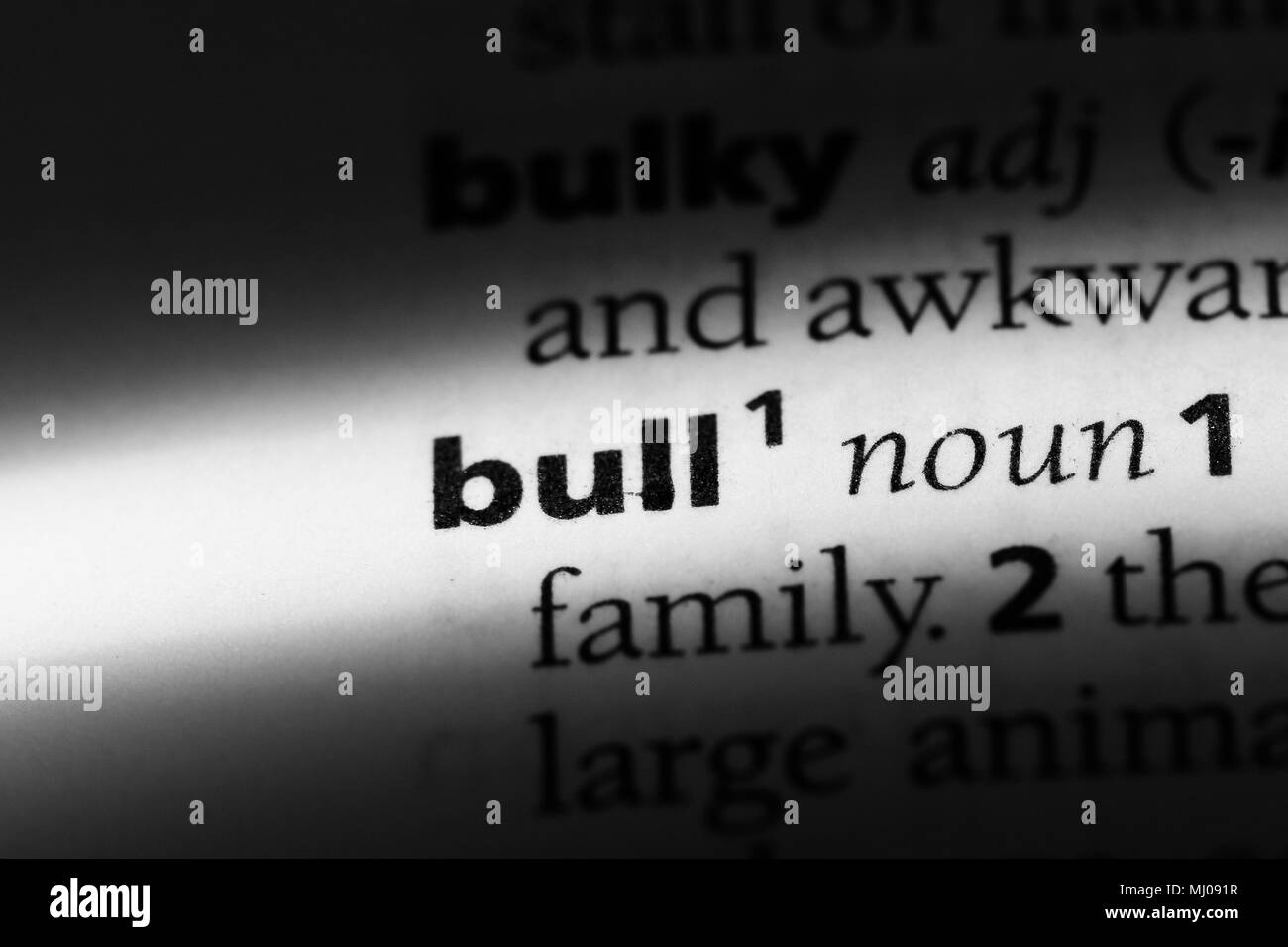 bull word in a dictionary. bull concept Stock Photo Alamy