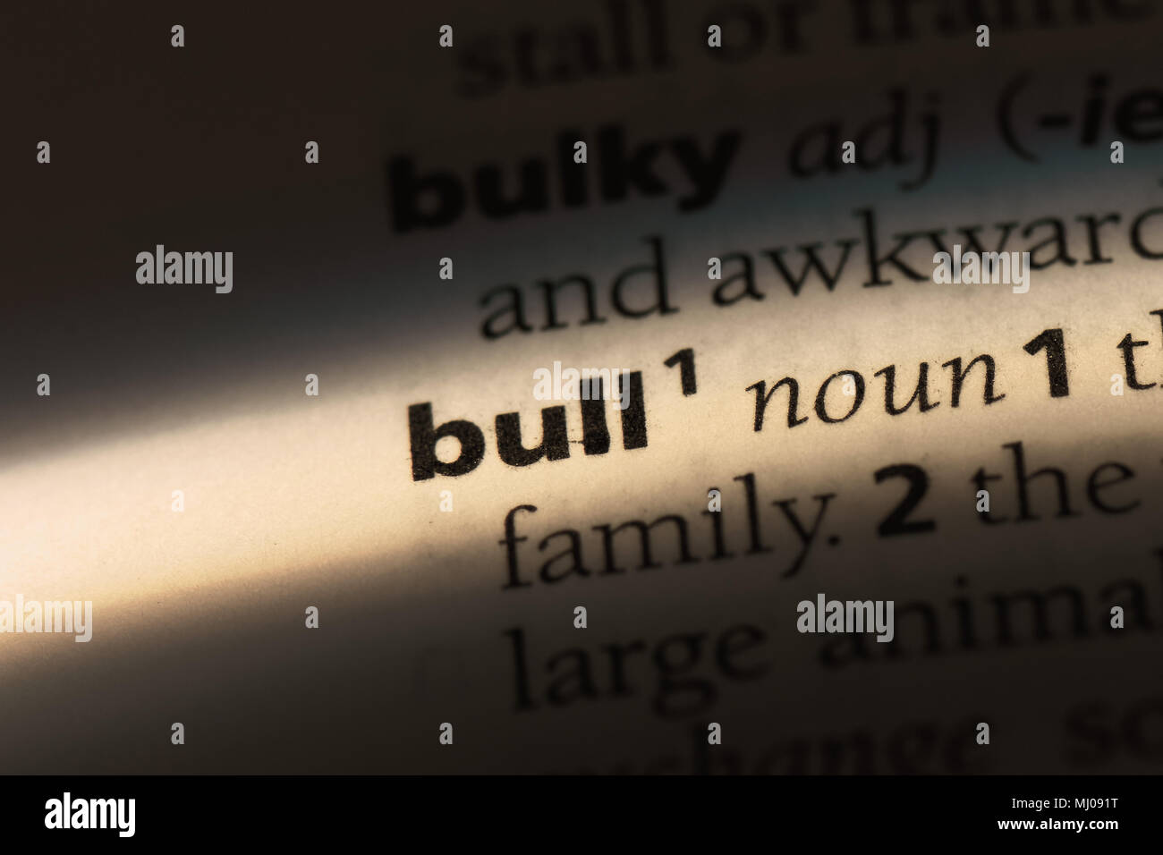 bull word in a dictionary. bull concept Stock Photo Alamy