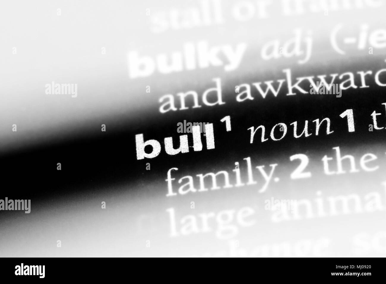 bull word in a dictionary. bull concept Stock Photo Alamy