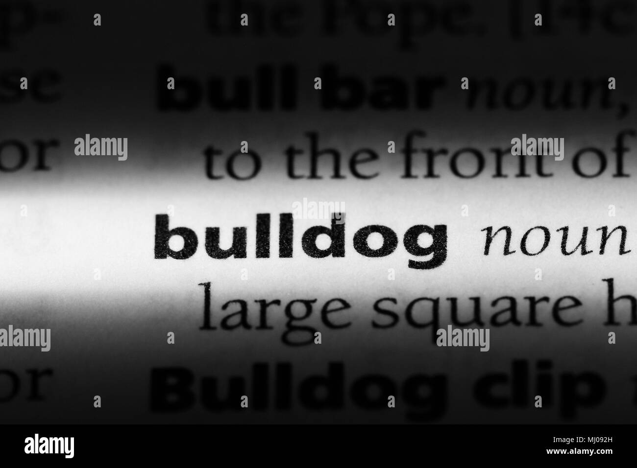 bulldog word in a dictionary. bulldog concept Stock Photo - Alamy