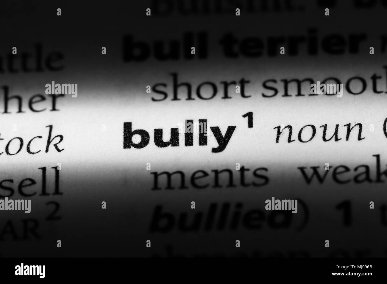bully word in a dictionary. bully concept Stock Photo Alamy