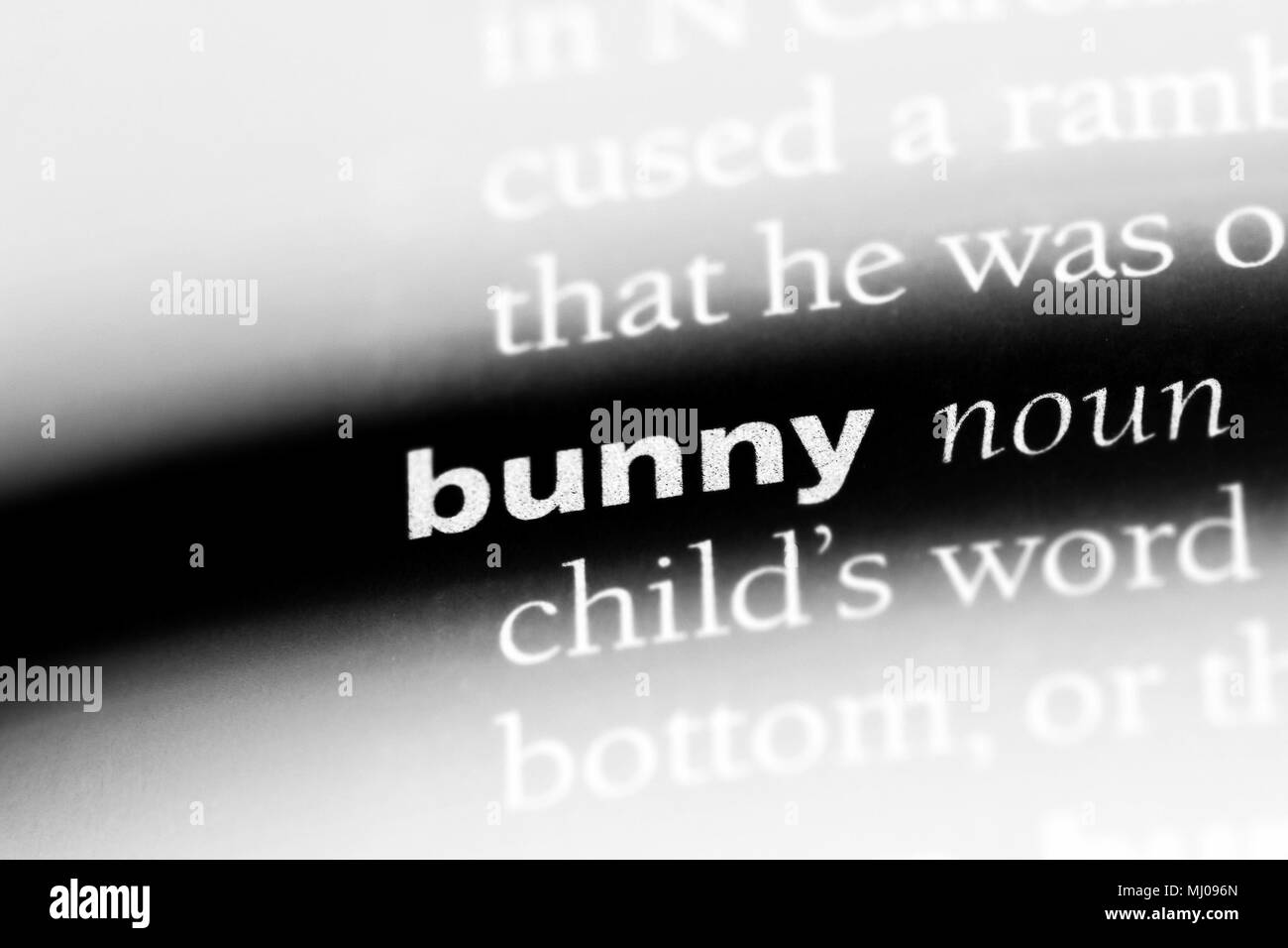 bunny word in a dictionary. bunny concept Stock Photo Alamy