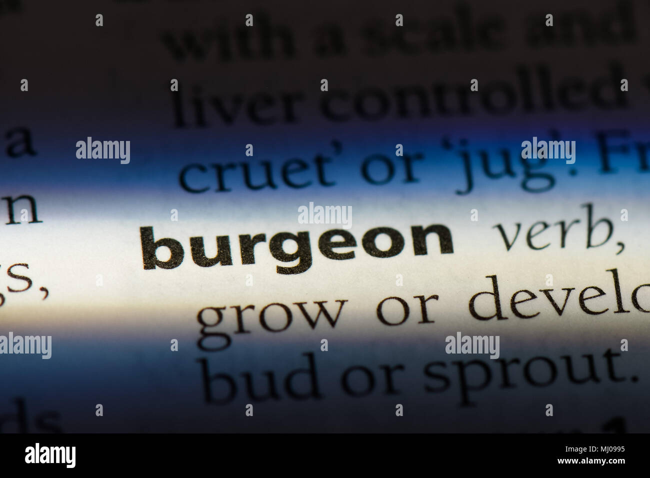 burgeon word in a dictionary. burgeon concept. Stock Photo