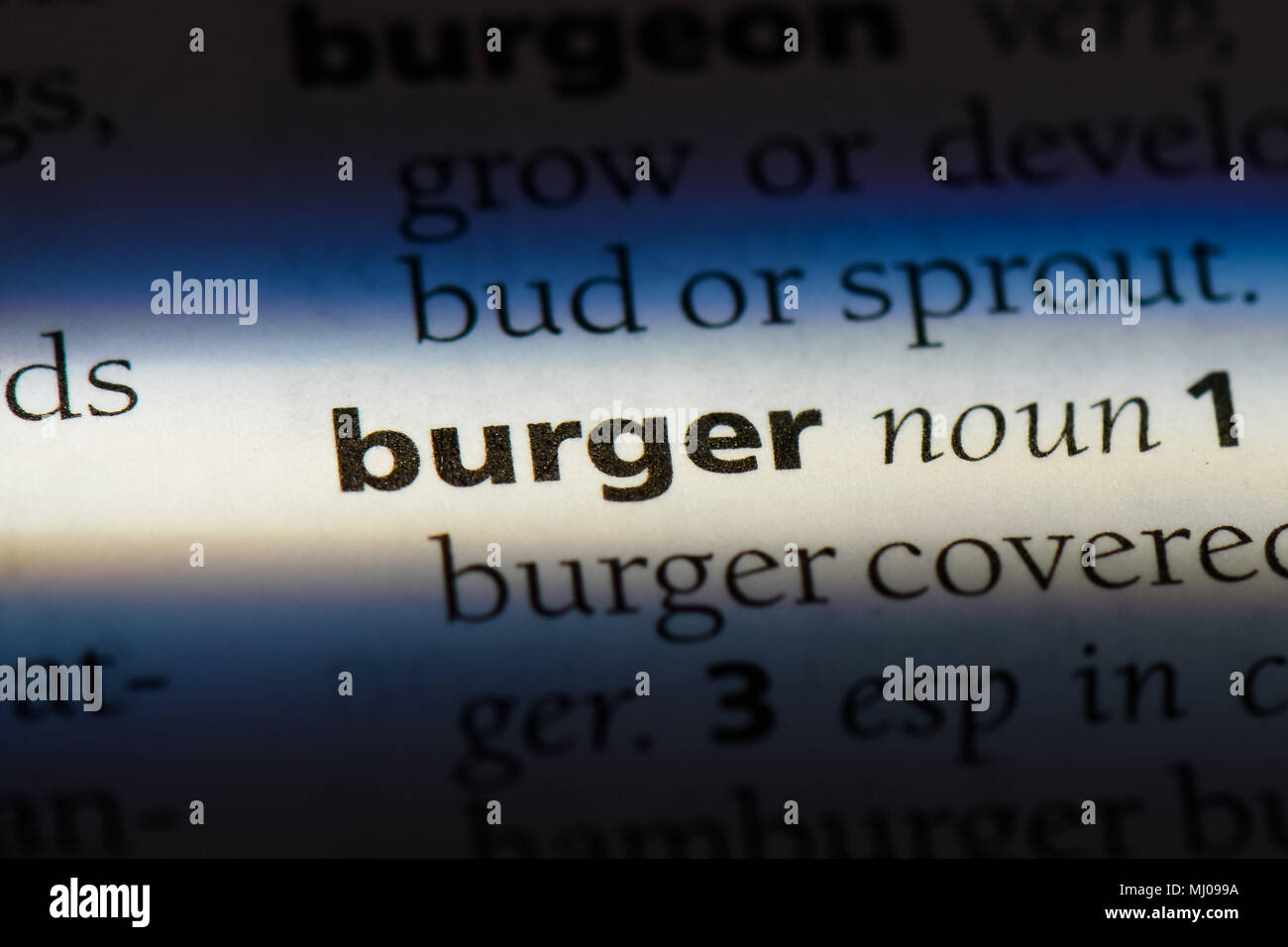 burger word in a dictionary. burger concept Stock Photo Alamy