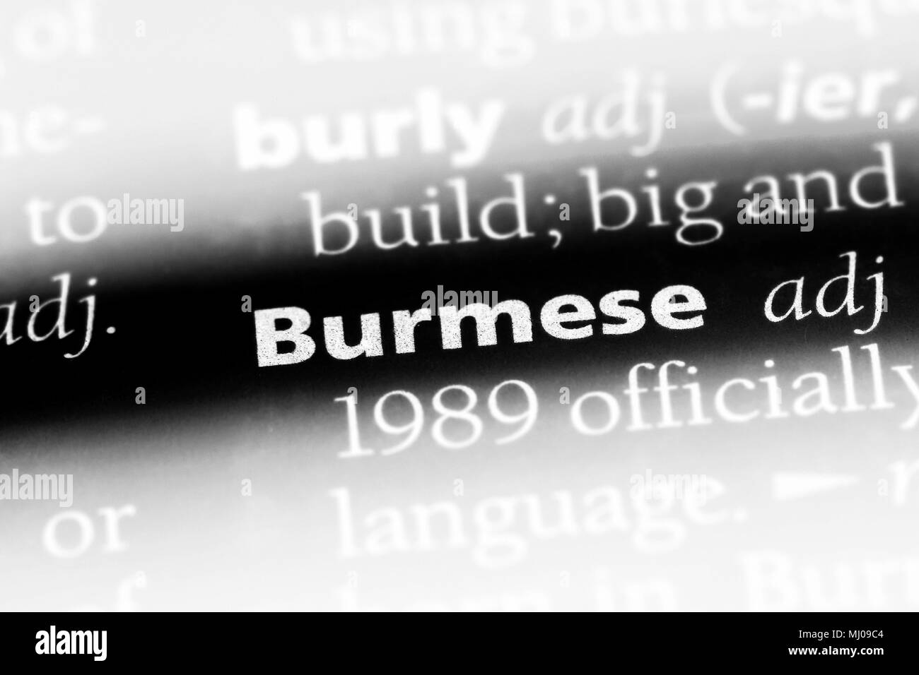 burmese word in a dictionary. burmese concept Stock Photo ...