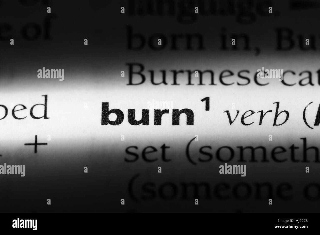 burn word in a dictionary. burn concept Stock Photo Alamy