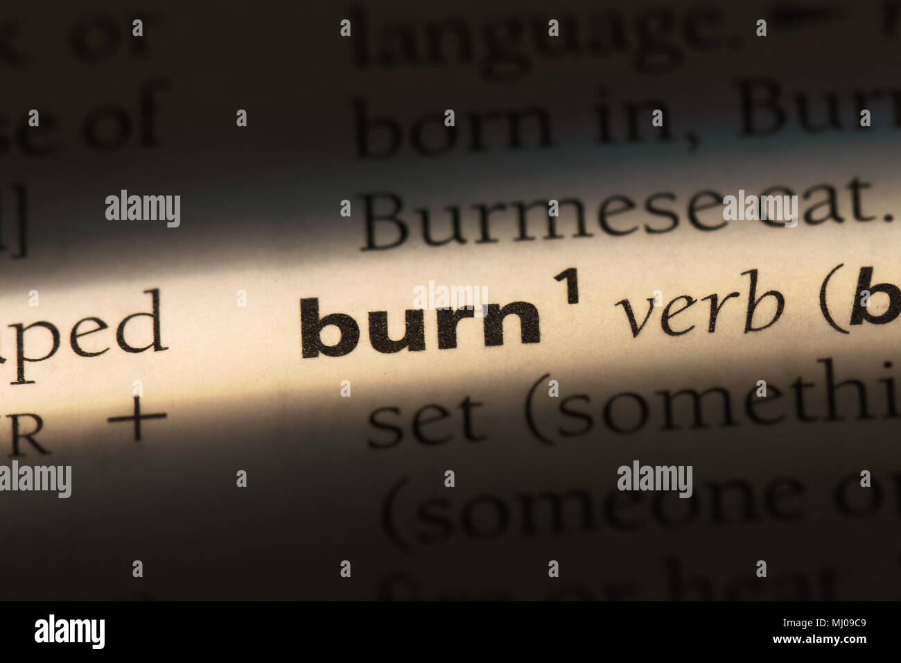 burn word in a dictionary. burn concept Stock Photo Alamy