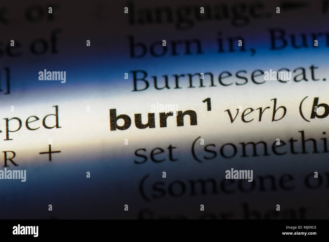 burn word in a dictionary. burn concept Stock Photo Alamy