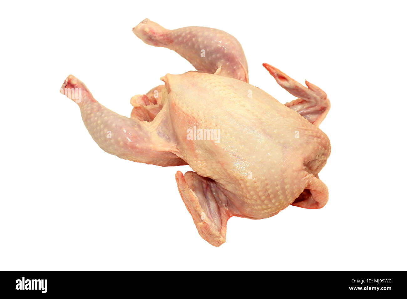 Thawed raw chicken carcass isolated on white background Stock Photo Alamy