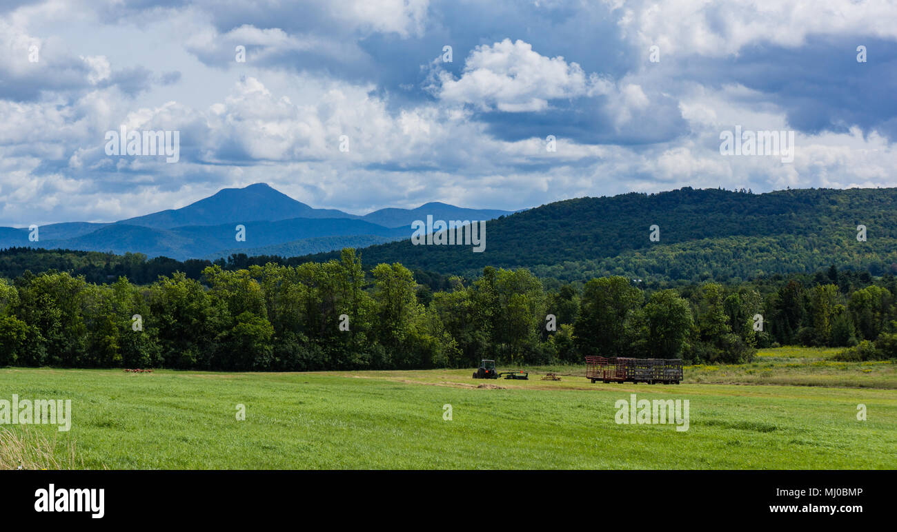 haying the fields  with view of Camels Hump Mountain , Green Mountains of Vermont Stock Photo