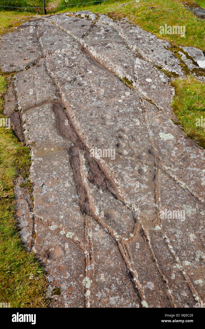 Cup marked stone at Cairnbaan prehistoric site with cup and ring marks carved rocks   dating from the Iron Age, Argyll and Bute, Scotland, UK Stock Photo