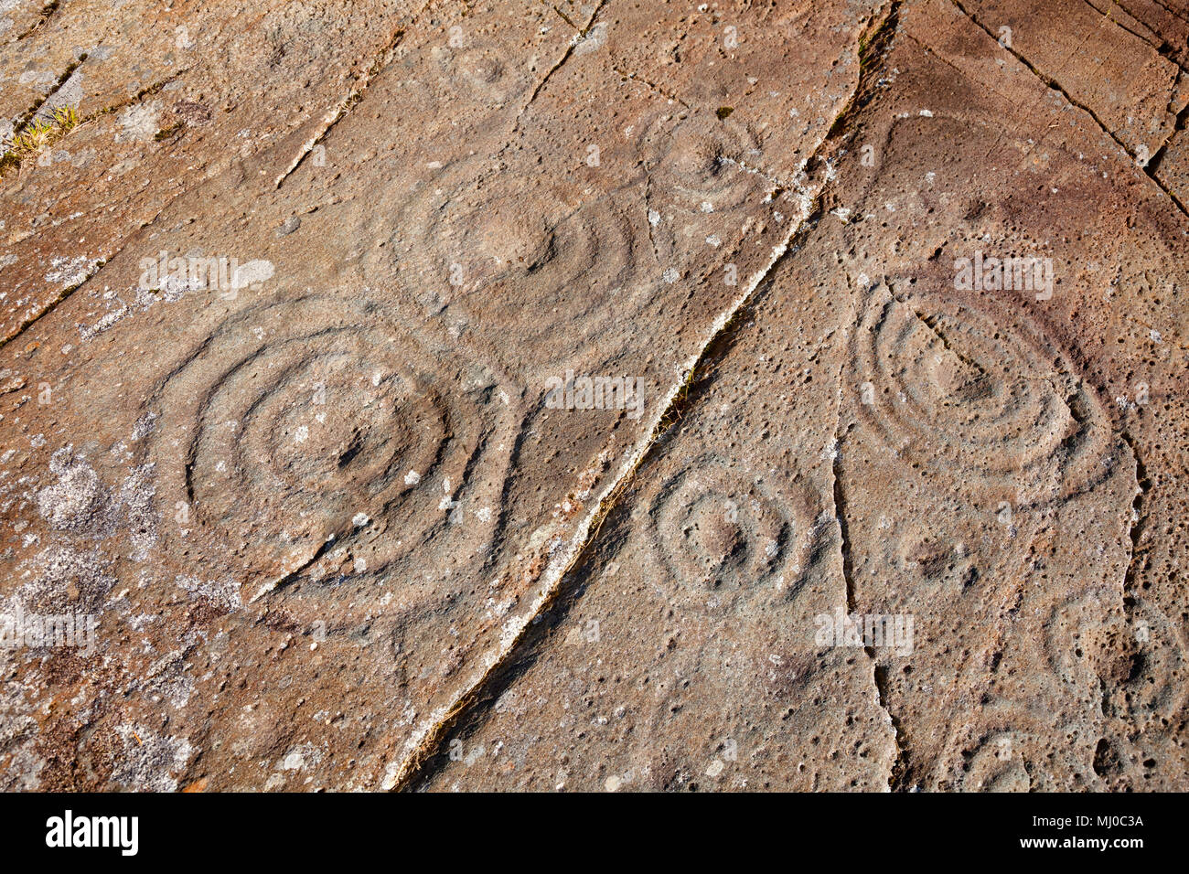 Cup and rings marks on a stone dating from the Iron Age at Cairnbaan prehistoric site, Argyll and Bute, Scotland, UK Stock Photo