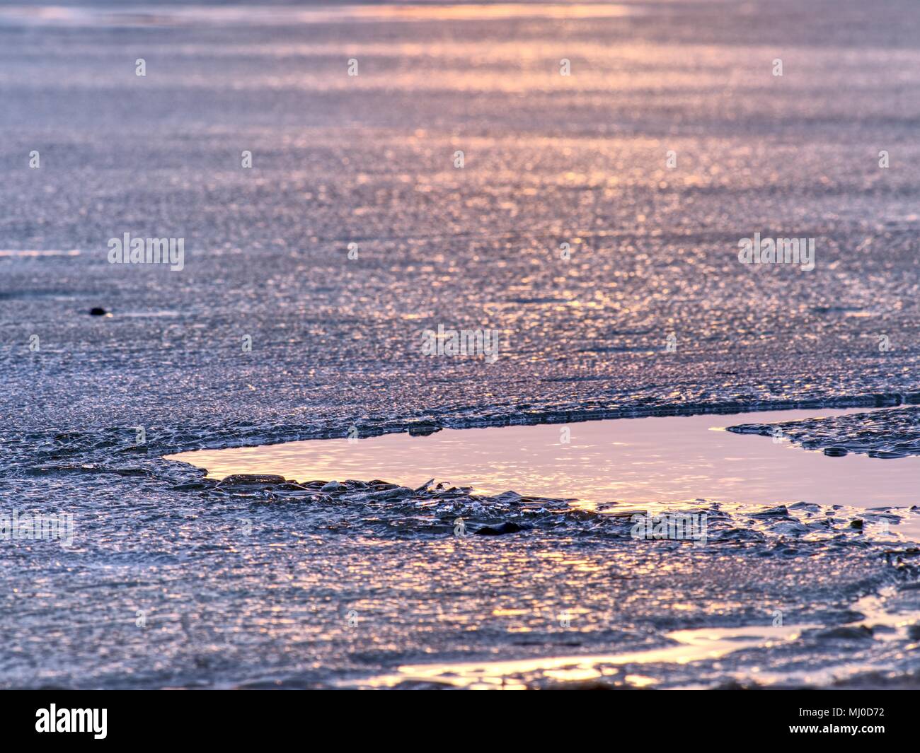 Shiny cold ice pieces on clear ice floe. Structure of natural ice in ...