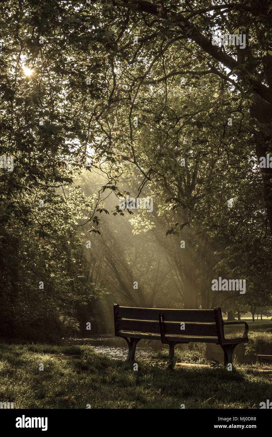 Peaceful Riverside Bench Illuminated by sun rays Stock Photo Alamy