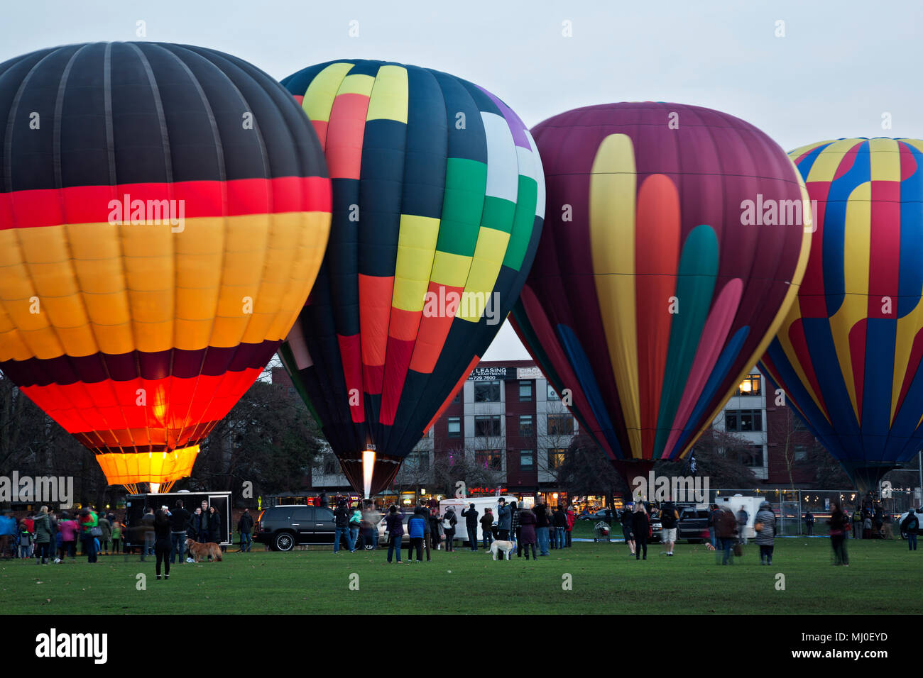 WA1530800...WASHINGTON Hot air balloons on display at Seattle's