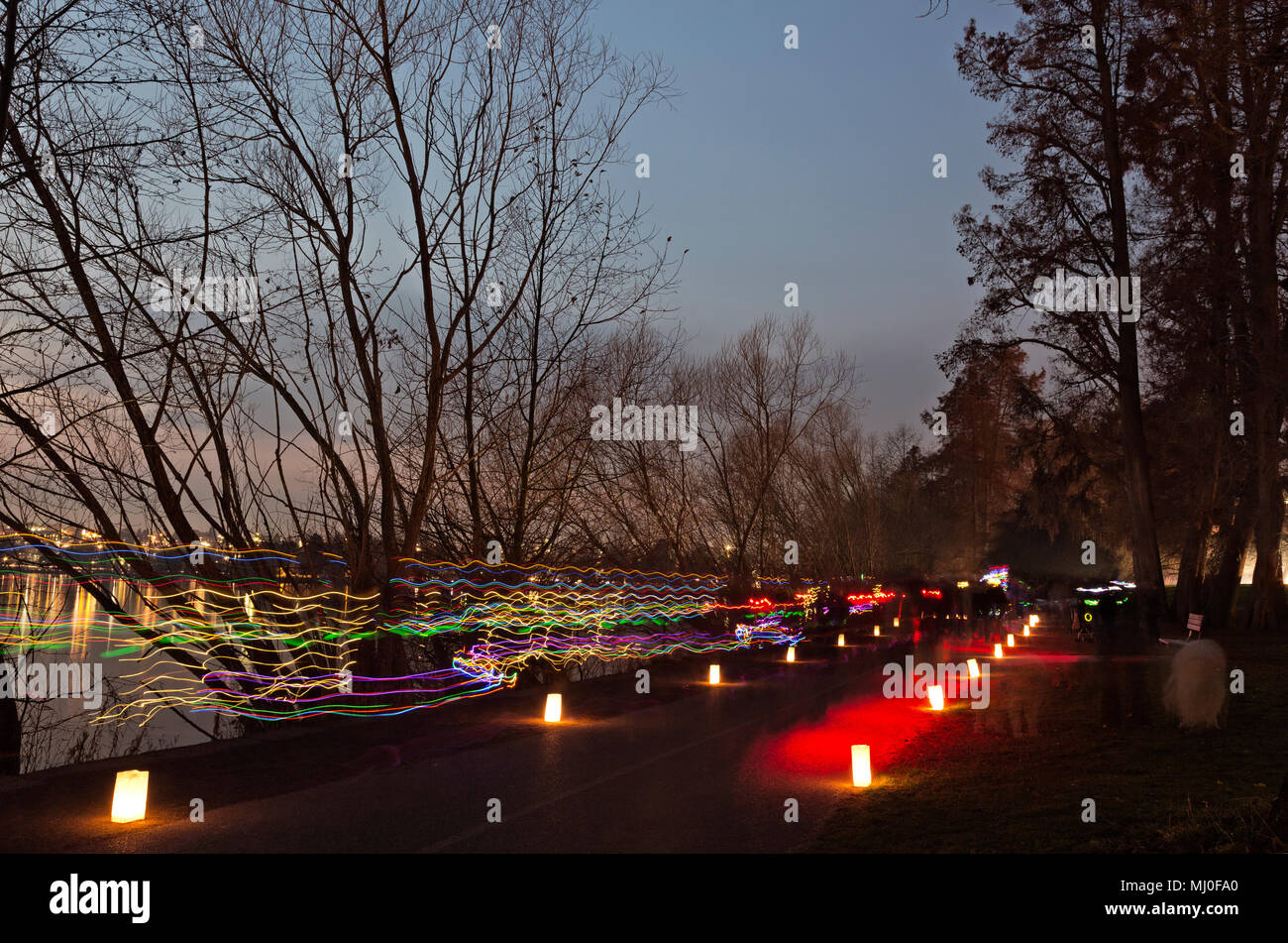 Pathway Of Lights Greenlake
