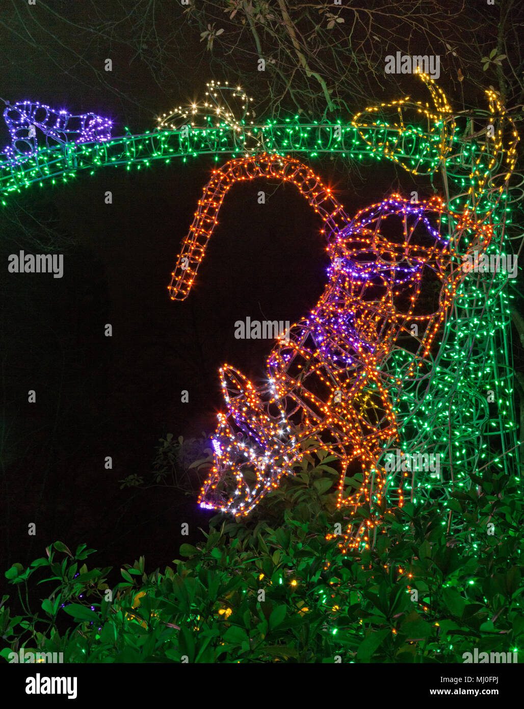 WA1533600...WASHINGTON One of the eyecatching light displays at Seattle's Woodland Park Zoo