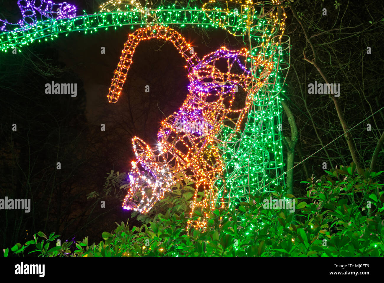 WA1533700...WASHINGTON One of the eyecatching light displays at