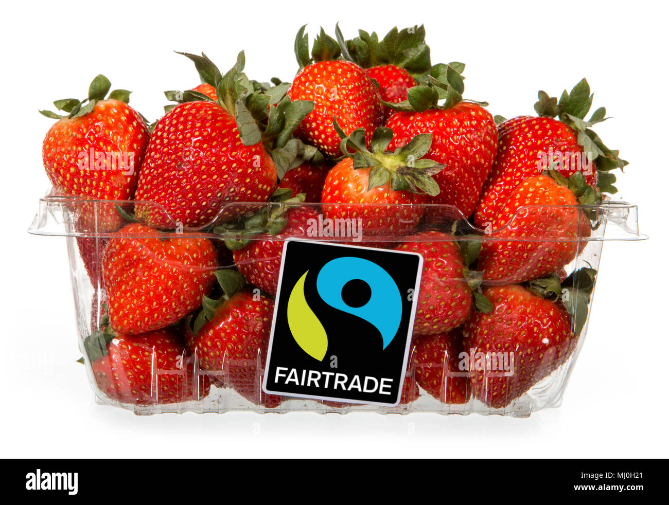Container of strawberries featuring a 'Fairtrade' label. Stock Photo