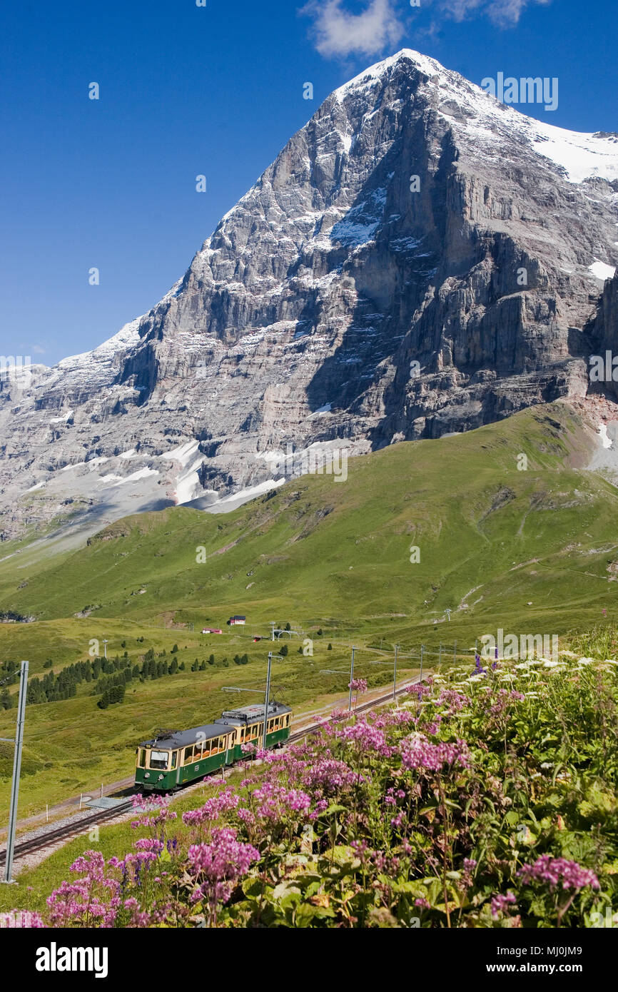 The Eiger and its notorious North Face (Eiger Nordwand) from Kleine  Scheidegg with the Wengernalpbahn train from Grindelwald, Switzerland Stock  Photo - Alamy