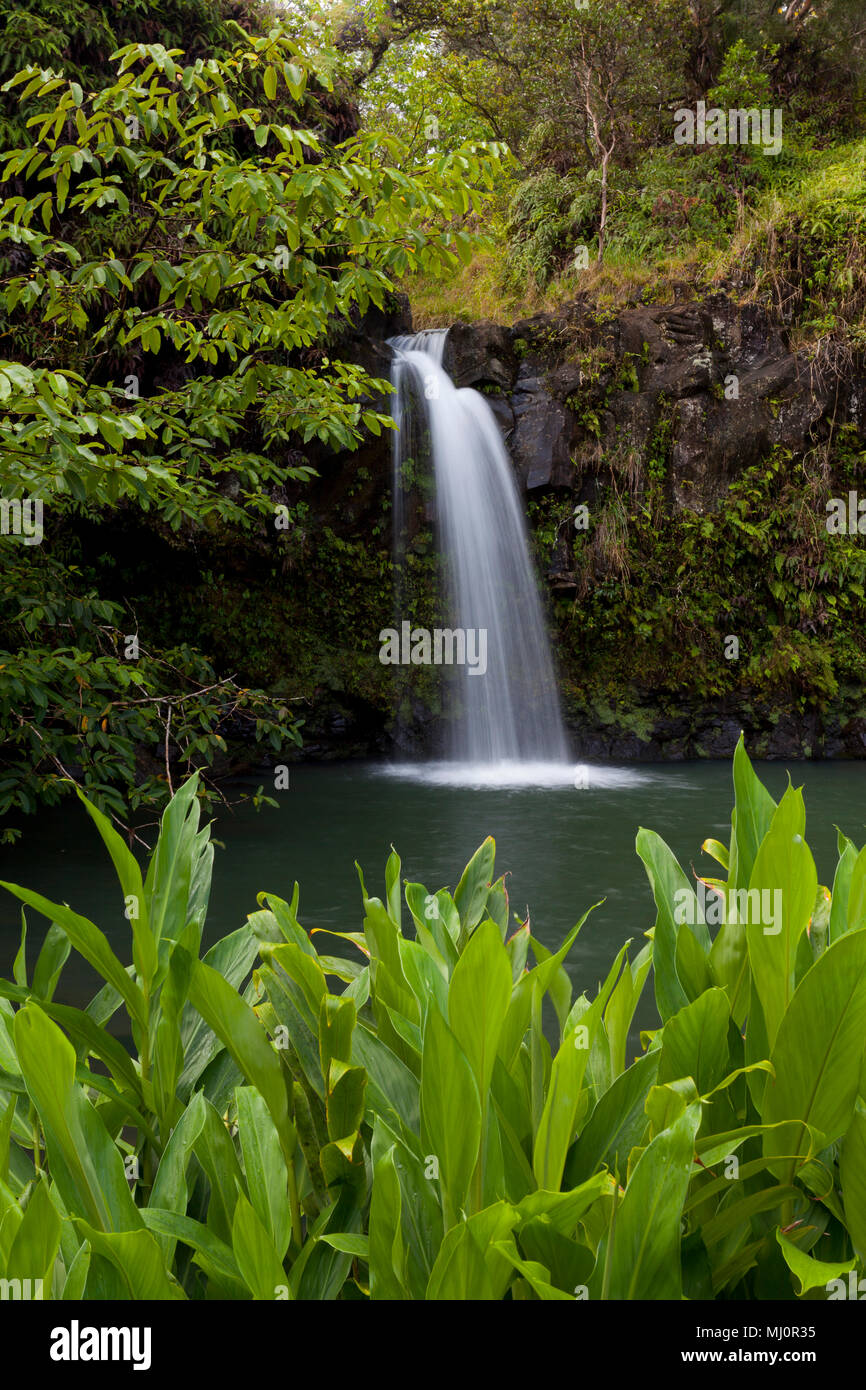 Road to hana waterfalls hi-res stock photography and images - Alamy