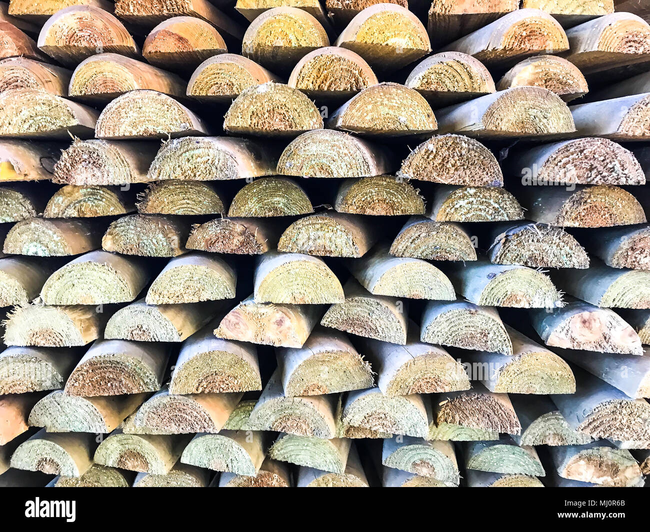 Garden log pathway hi-res stock photography and images - Alamy