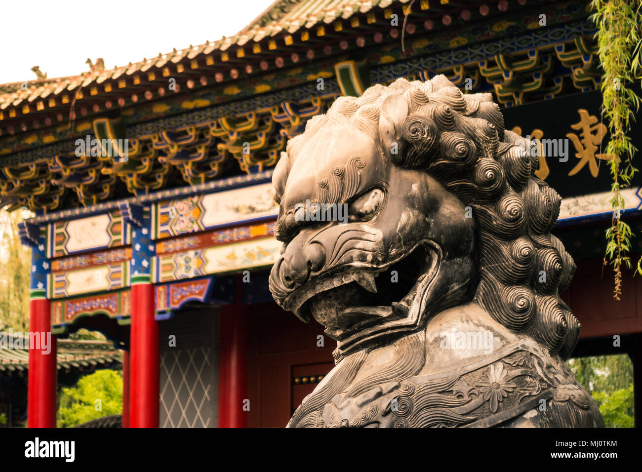 Chinese Guardian Lion Standing in front of the Gate Stock Photo