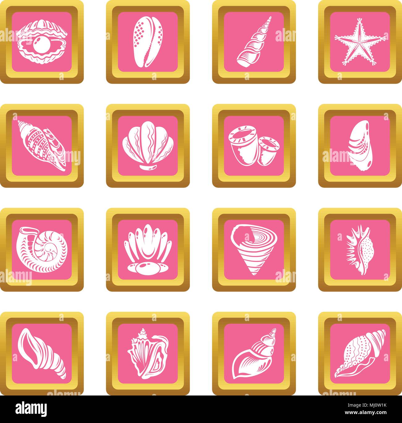 Pink Conch High Resolution Stock Photography and Images - Alamy