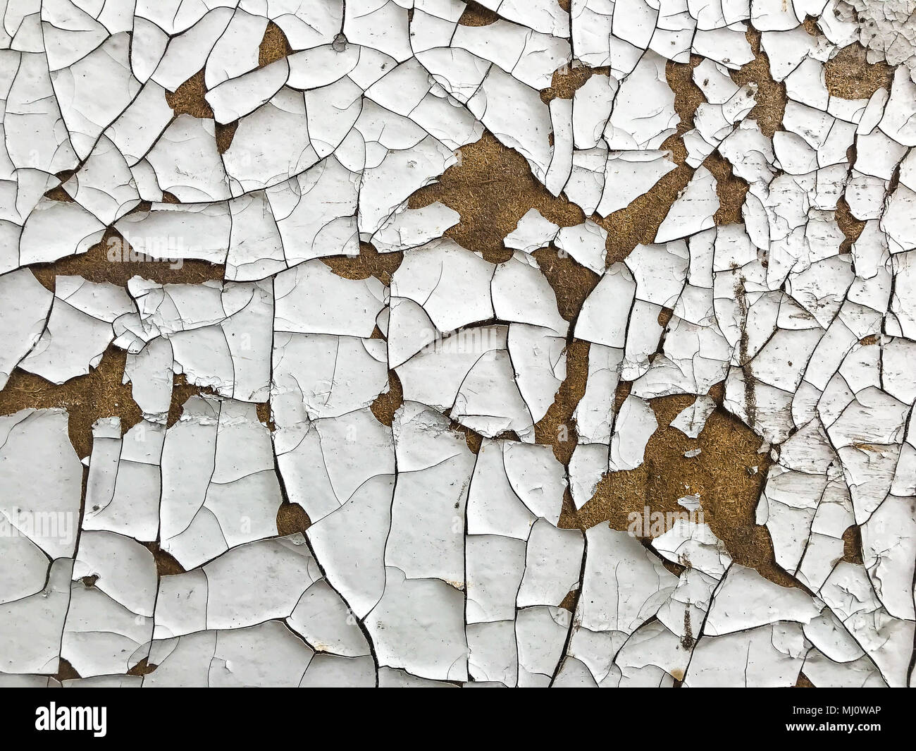 Paint peeling off wall. Studio Photo Stock Photo Alamy